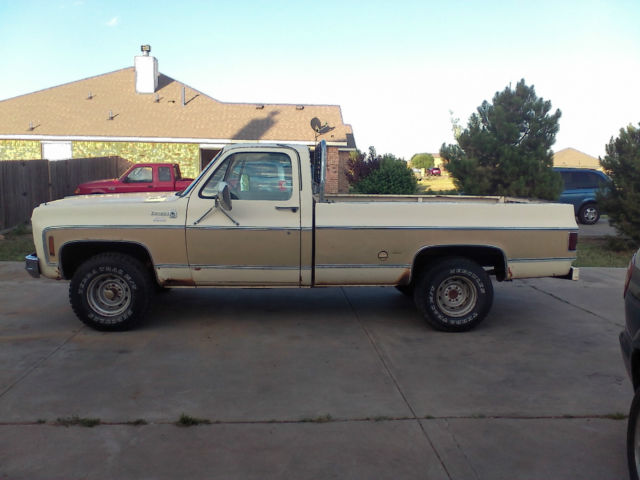 1976 Chevrolet C-10