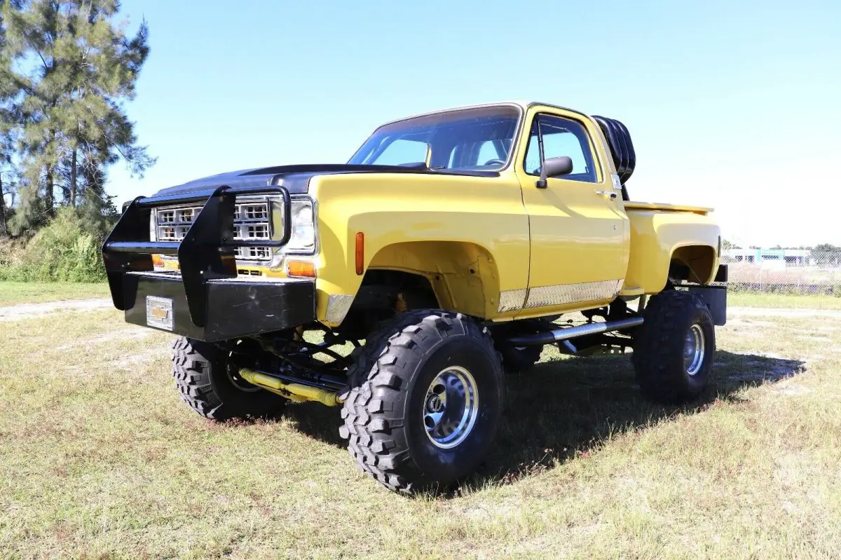 1976 Chevrolet C-10 4X4 Lifted 454 V8 Truck K10 C20 K20 70+ HD Pics