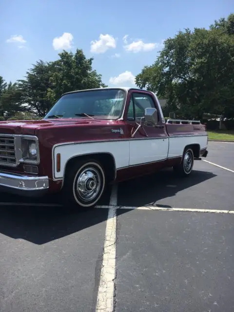 1976 Chevrolet C-10 CHEYENNE