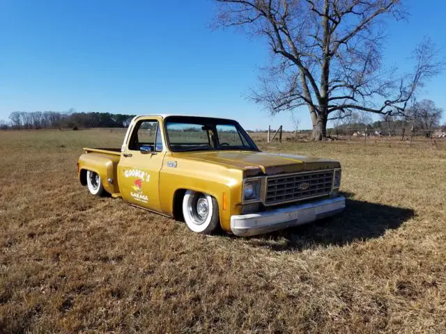 1976 Chevrolet C-10