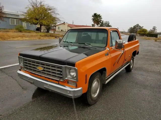 1976 Chevrolet C20 Camper Special