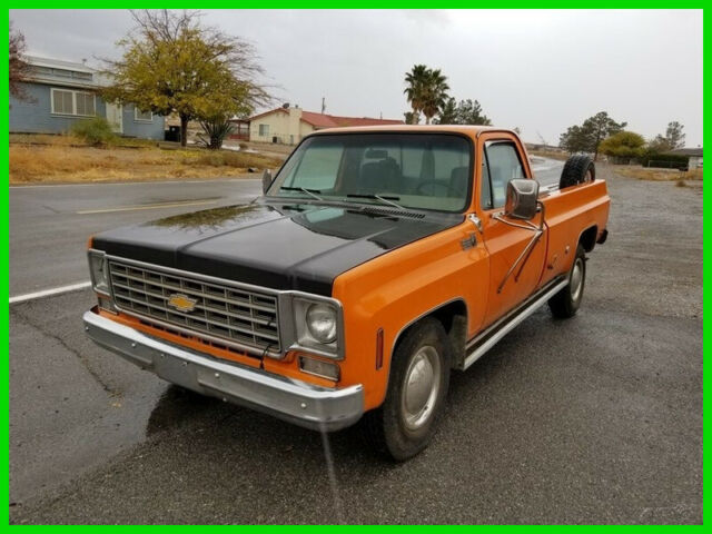 1976 Chevrolet Other Pickups Camper Special 8200 GVW