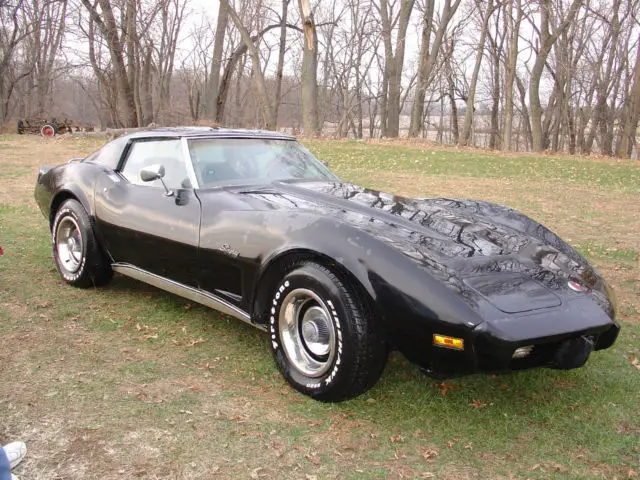 1976 Chevrolet Corvette Stingray Coupe 2-Door