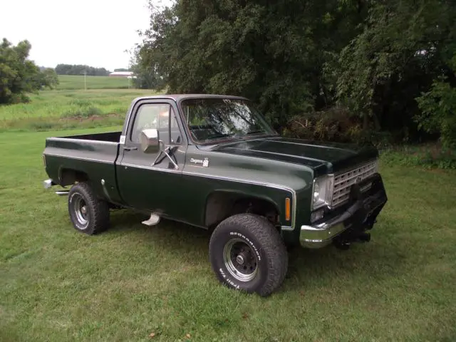 1976 Chevrolet Other Pickups Cheyanne