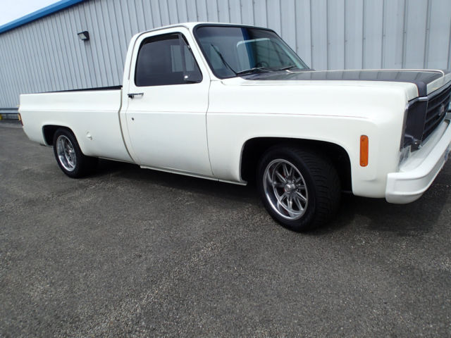 1976 Chevrolet Other Pickups