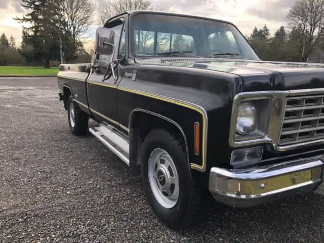 1976 Chevrolet C20