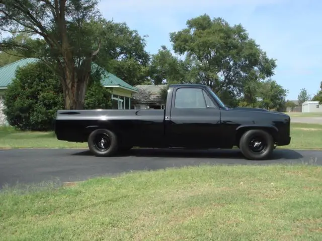 1976 Chevrolet Other Pickups