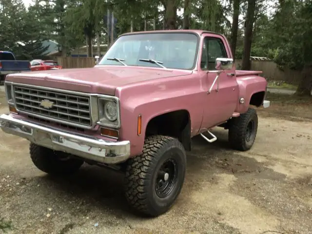 1976 Chevrolet Other Pickups