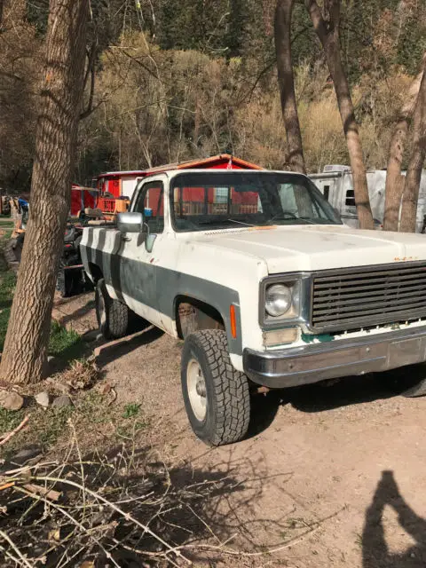 1976 Chevrolet Other Pickups