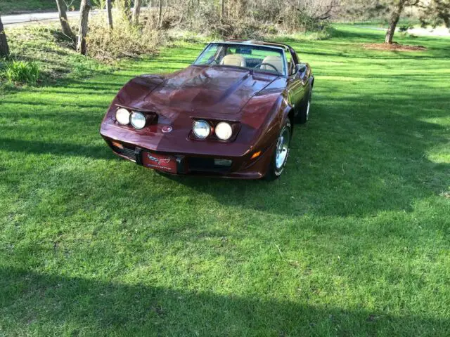 1976 Chevrolet Corvette StringRay