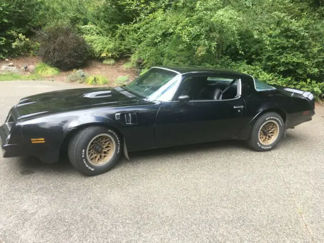 1976 Pontiac Firebird TRANS AM