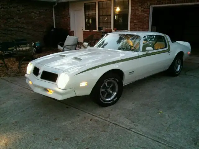 1976 Pontiac Firebird White and green