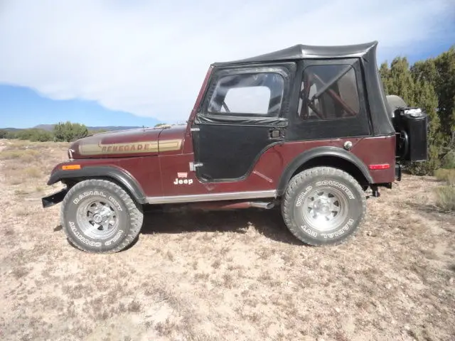 1976 Jeep Renegade