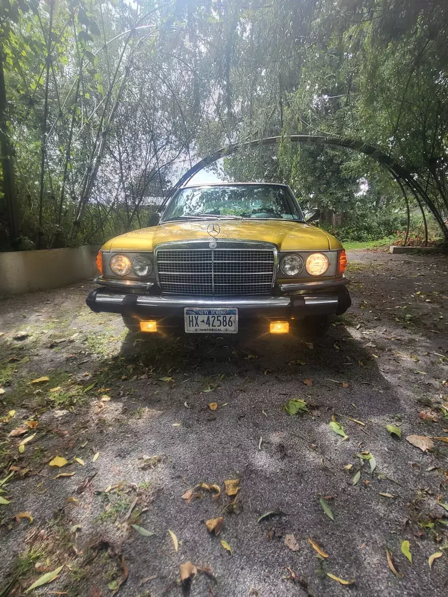 1976 Mercedes-Benz Other