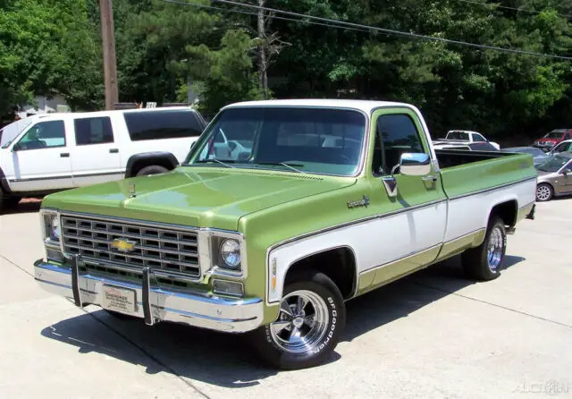 1976 Chevrolet CK10 Cheyenne Super Pickup REG CAB