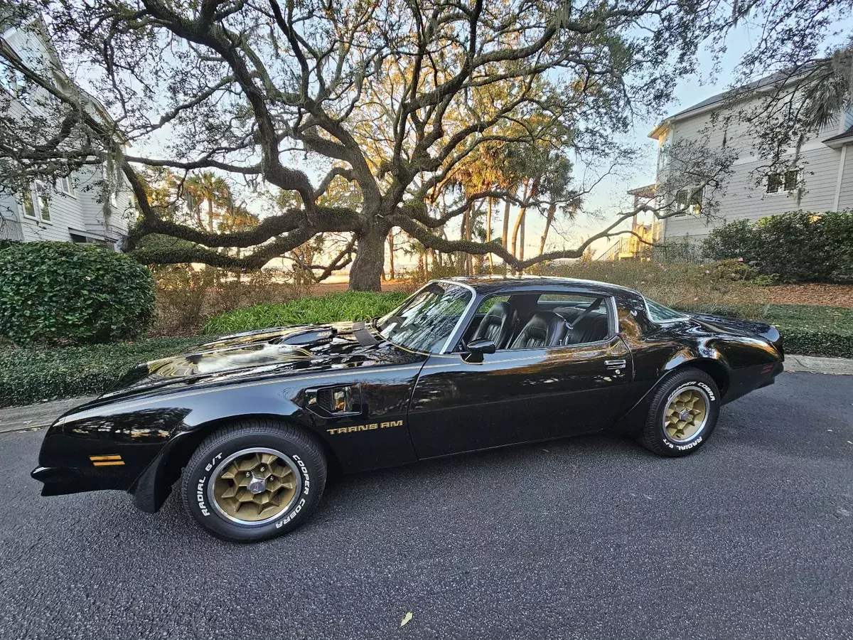 1976 Pontiac Firebird 6.5 Trans Am Coupe Black trans am 1976 Pontiac Firebird trans am