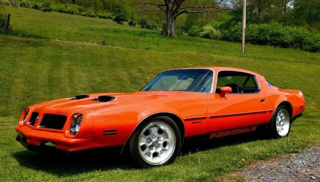 1976 Pontiac Firebird Formula W50 Trans Am