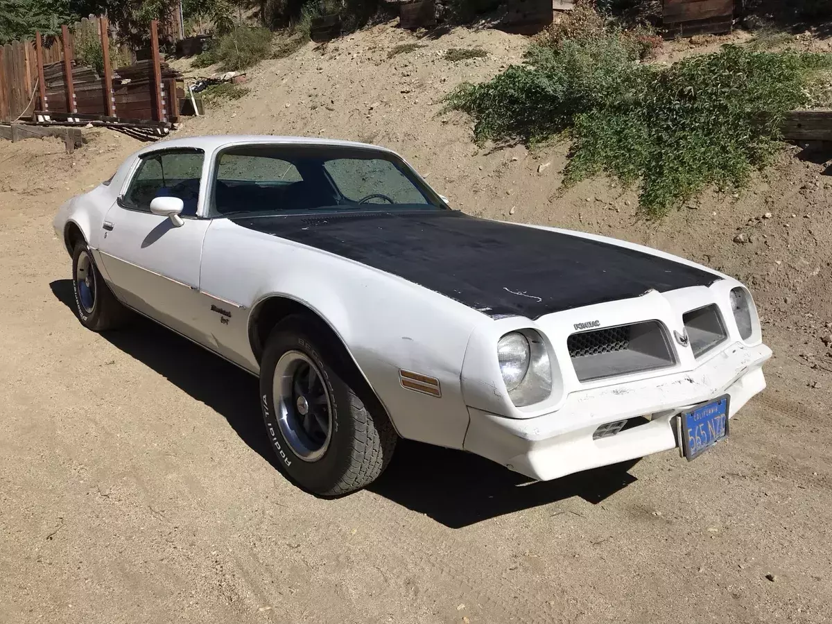 1976 Pontiac Firebird Esprit