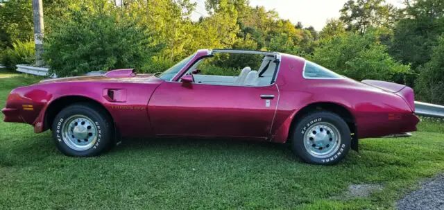 1976 Pontiac Trans Am Trans Am