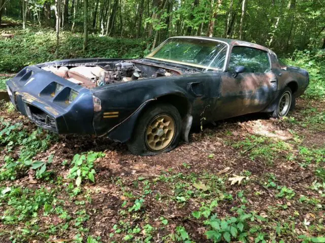 1976 Pontiac Trans Am