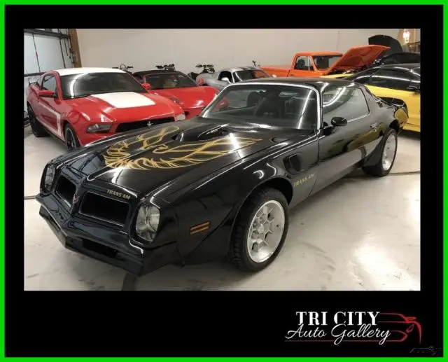 1976 Pontiac Trans Am 1976 Pontiac TRANS AM 455 4spd PHS Certified Original