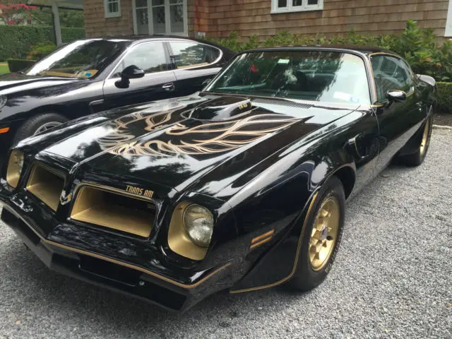 1976 Pontiac Trans Am 50th Anniversary Special Edition