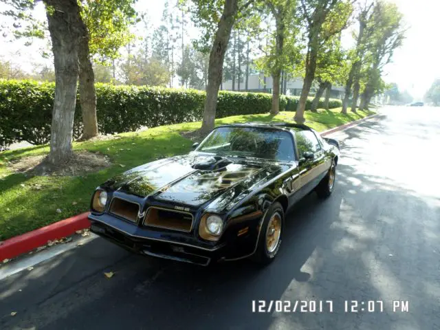 1976 Pontiac Trans Am 50Th Anniversary