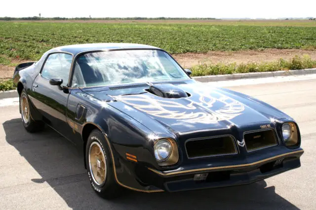 1976 Pontiac Trans Am Y82 SE