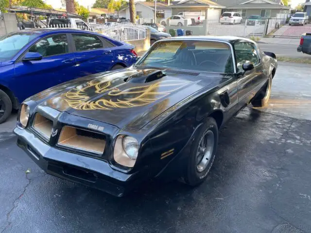 1976 Pontiac Trans Am