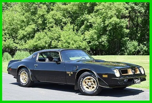 1976 Pontiac Trans Am Special Edition Bandit Style