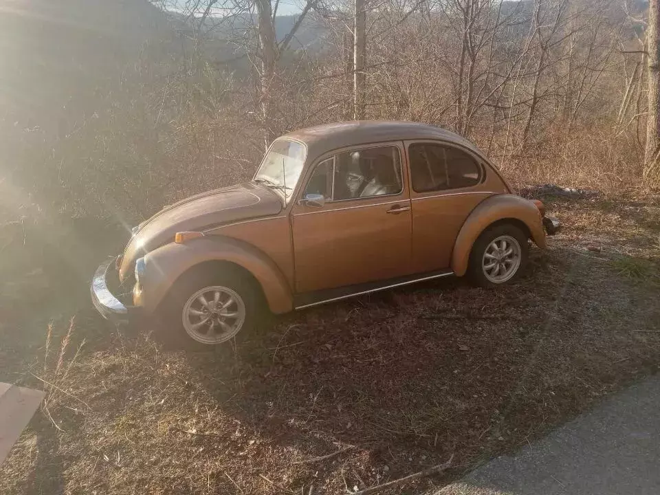 1976 Volkswagen Beetle