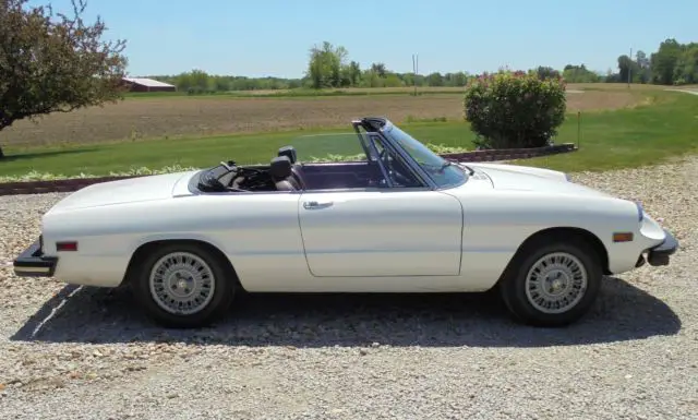 1977 Alfa Romeo Spider 2000