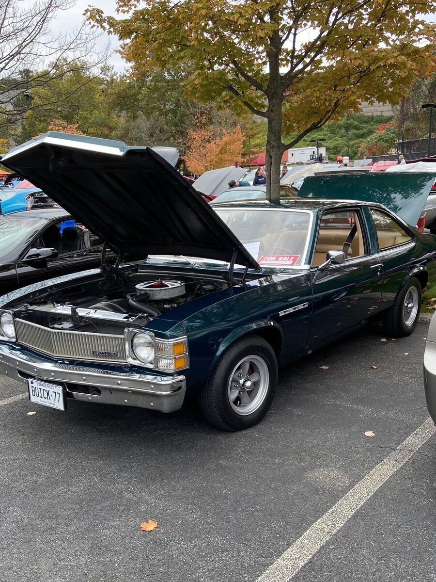 1977 Buick Skylark S