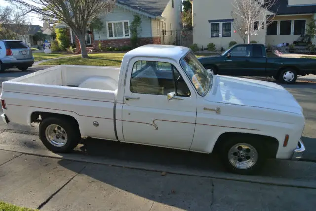 1977 Chevrolet C-10