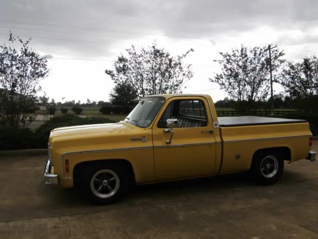 1977 Chevrolet C-10