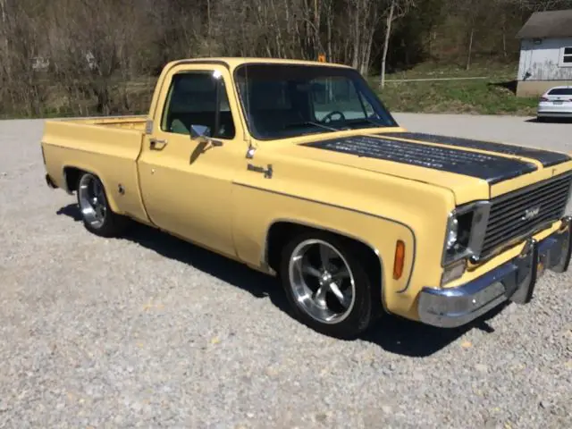 1977 Chevrolet C-10