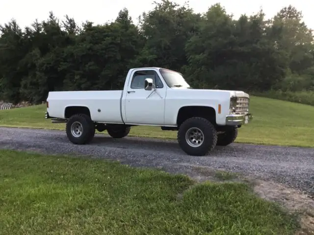 1977 Chevrolet Other Pickups