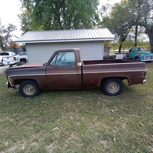 1977 Chevrolet C-10 Cheyenne