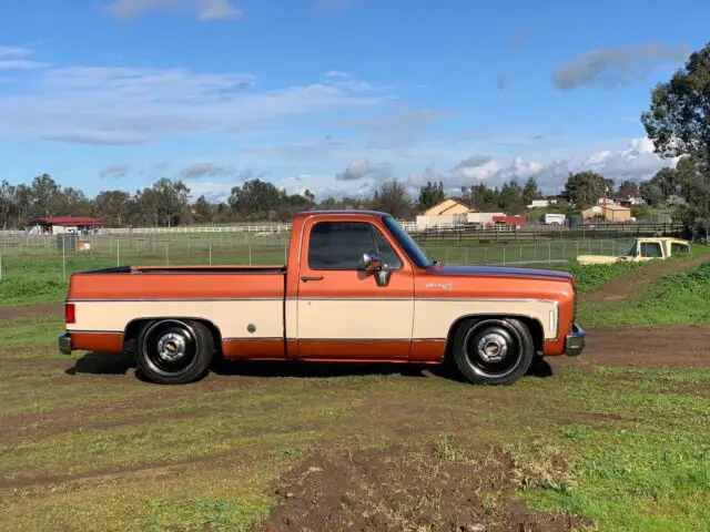 1977 Chevrolet C-10 scottsdale