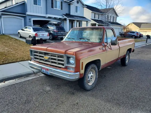 1977 Chevrolet C20