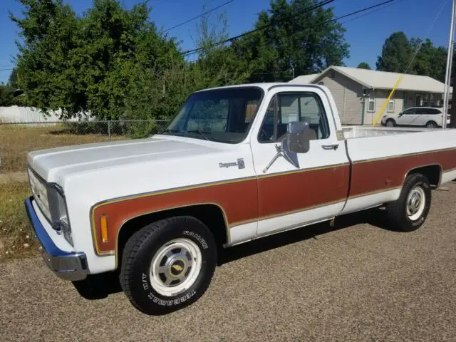 1977 Chevrolet C-10 Cheyenne