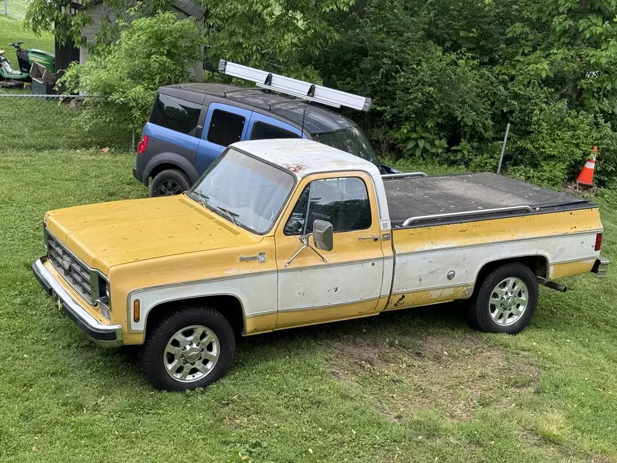 1977 Chevrolet C20/K20 camper special