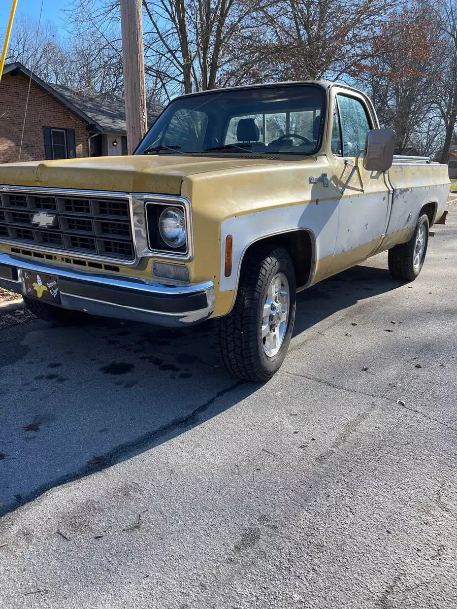 1977 Chevrolet C20/K20 Cheyenne camper special