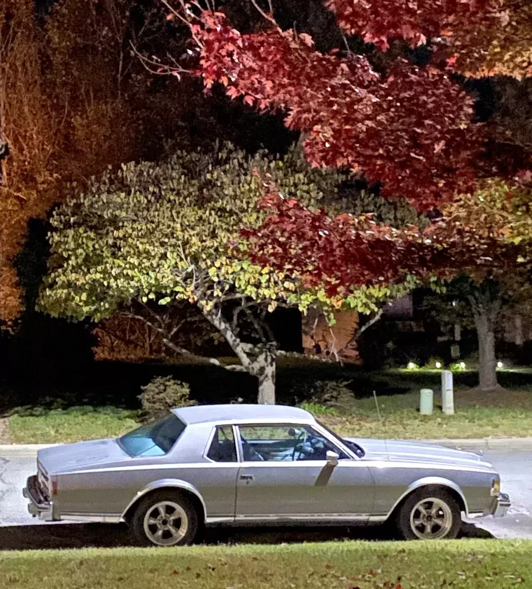 1977 Chevrolet Caprice Classic