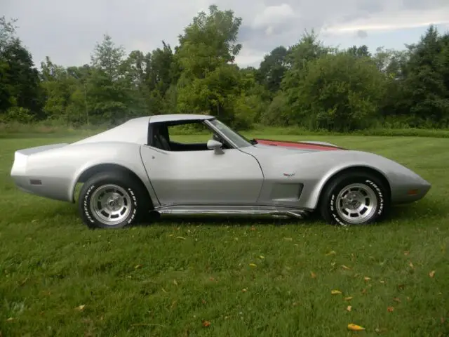 1977 Chevrolet Corvette L-48