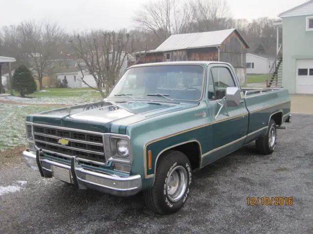 1977 Chevrolet Other Pickups