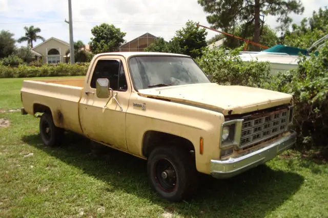 1977 Chevrolet C/K Pickup 1500