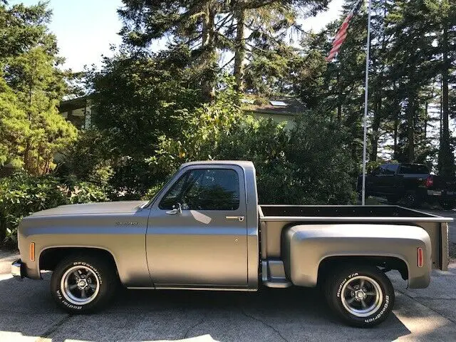 1977 Chevrolet C-10 SCOTTSDALE