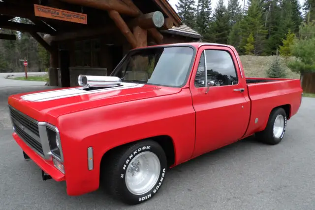 1977 Chevrolet C-10