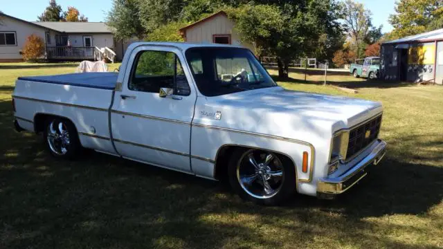 1977 Chevrolet Other Pickups cheyenne